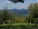 cultural and natural landscape of the Markgrflerland